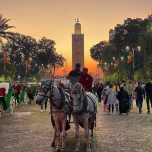 Guided tour of Marrakech Morocco